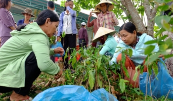 KỸ THUẬT TRỒNG VÀ CHĂM SÓC CÂY NHÀU